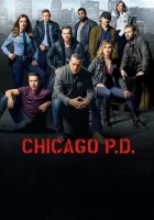 Полиция Чикаго смотреть онлайн сериал 1-11 сезон